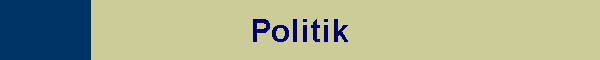 Politik